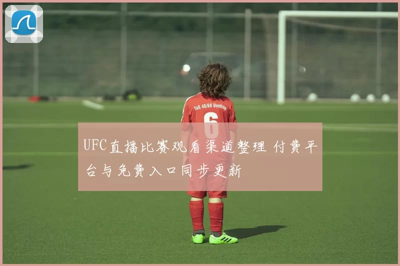UFC直播比赛观看渠道整理 付费平台与免费入口同步更新