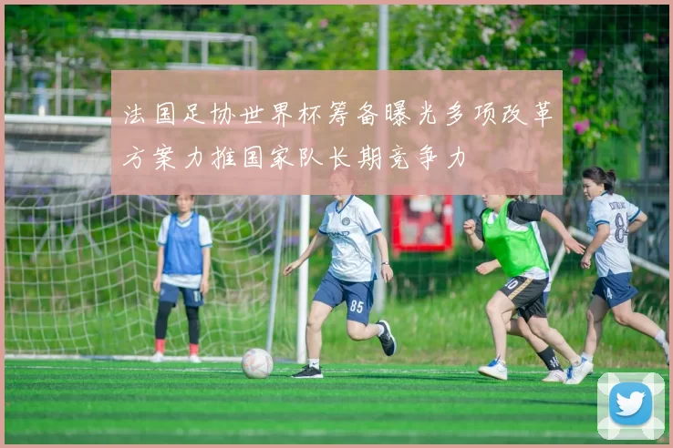 法国足协世界杯筹备曝光多项改革方案力推国家队长期竞争力