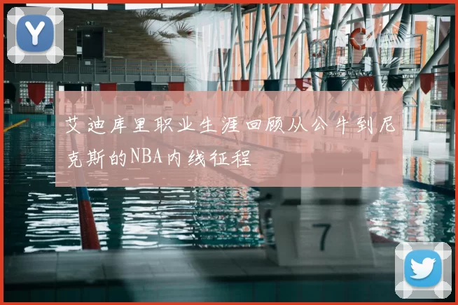 艾迪库里职业生涯回顾从公牛到尼克斯的NBA内线征程