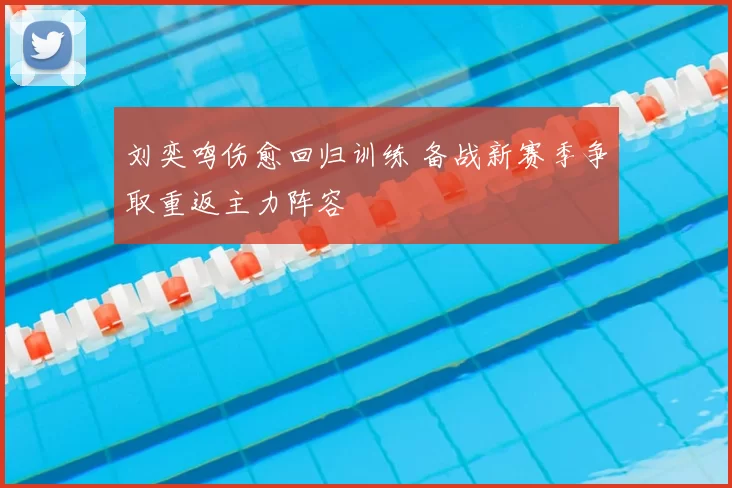 刘奕鸣伤愈回归训练 备战新赛季争取重返主力阵容