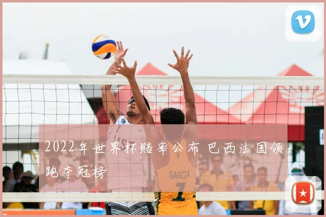 2022年世界杯赔率公布 巴西法国领跑夺冠榜