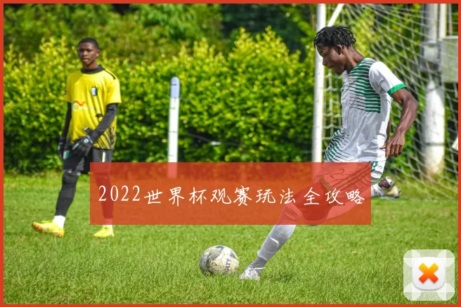 2022世界杯观赛玩法全攻略