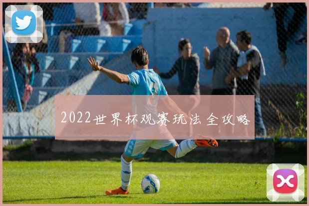 2022世界杯观赛玩法全攻略