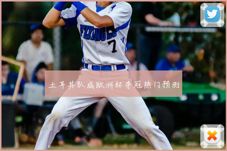 土耳其队成欧洲杯夺冠热门预测